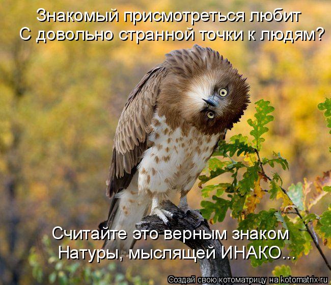 Котоматрица: Знакомый присмотреться любит С довольно странной точки к людям? Считайте это верным знаком Натуры, мыслящей ИНАКО...