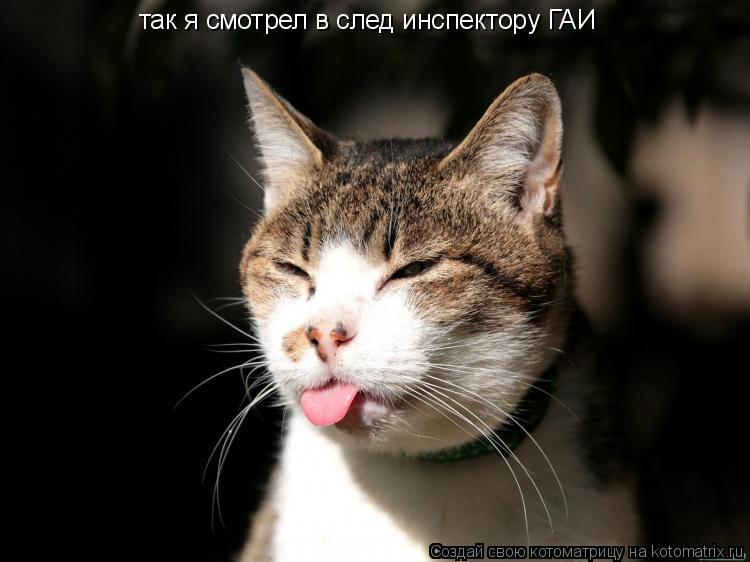 так я смотрел в след инспектору ГАИ... Котоматрица: так я смотрел в след инспектору ГАИ