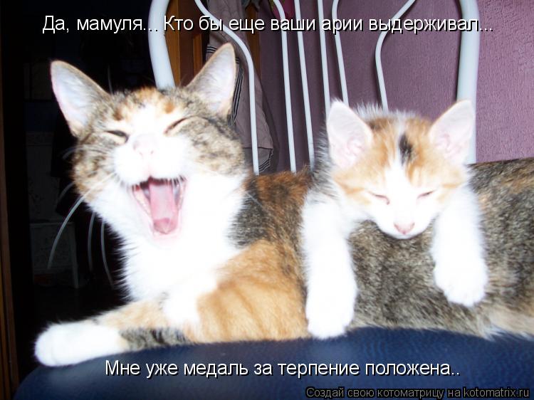 Да, мамуля... Кто бы еще ваши арии выдерживал... Мне уже медаль за терпение положена..... Котоматрица: Да, мамуля... Кто бы еще ваши арии выдерживал... Мне уже медаль за терпение положена..