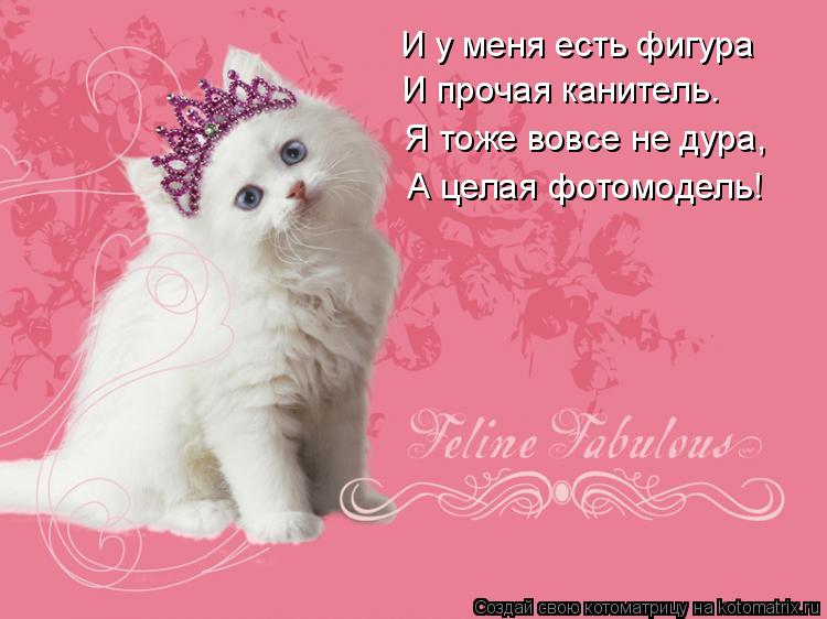 И у меня есть фигура И прочая канитель. Я тоже вовсе не дура, А целая фотомодель!... Котоматрица: И у меня есть фигура И прочая канитель. Я тоже вовсе не дура, А целая фотомодель!