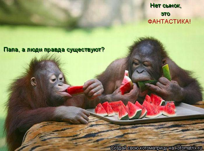 Папа, а люди правда существуют? Нет сынок, это ФАНТАСТИКА!... Котоматрица: Папа, а люди правда существуют? Нет сынок, это ФАНТАСТИКА!