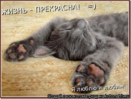ЖИЗНЬ - ПРЕКРАСНА! =) Я люблю и любим!... Котоматрица: ЖИЗНЬ - ПРЕКРАСНА! =) Я люблю и любим!