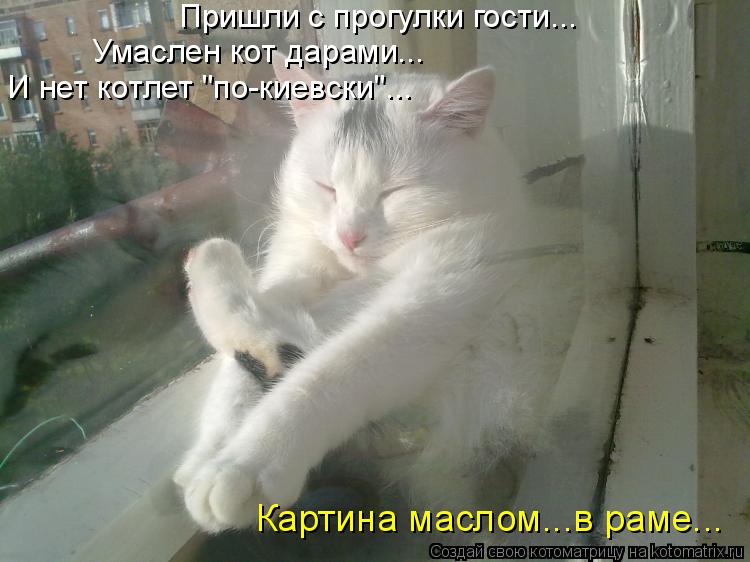 Картина маслом...в раме... Пришли с прогулки гости... Умаслен кот дарами... И нет котлет "по-киевски"... Котоматрица: Картина маслом...в раме... Пришли с прогулки гости... Умаслен кот дарами... И нет котлет "по-киевски"...