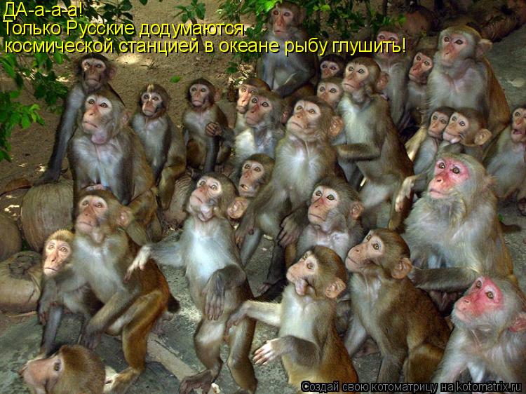 ДА-а-а-а! Только Русские додумаются космической станцией в океане рыбу глушить!... Котоматрица: ДА-а-а-а! Только Русские додумаются космической станцией в океане рыбу глушить!