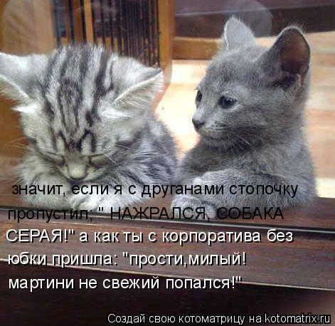 значит, если я с друганами стопочку пропустил; " НАЖРАЛСЯ, СОБАКА СЕРАЯ!" а как ты с корпоратива бе... Котоматрица: значит, если я с друганами стопочку пропустил; " НАЖРАЛСЯ, СОБАКА СЕРАЯ!" а как ты с корпоратива без юбки пришла: "прости,милый! мартини не св