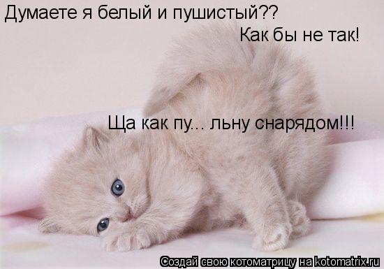 Думаете я белый и пушистый?? Как бы не так! Ща как пу... льну снарядом!!!... Котоматрица: Думаете я белый и пушистый?? Как бы не так! Ща как пу... льну снарядом!!!