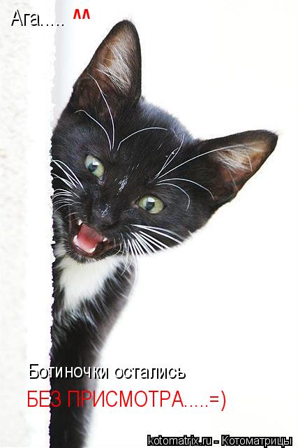 Ага..... ^^ Ботиночки остались БЕЗ ПРИСМОТРА.....=)... Котоматрица: Ага..... ^^ Ботиночки остались БЕЗ ПРИСМОТРА.....=)