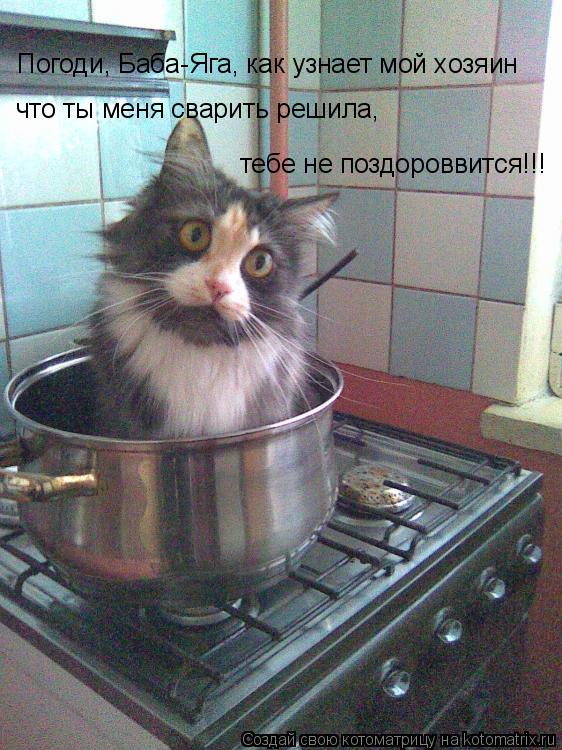 Погоди, Баба-Яга, как узнает мой хозяин что ты меня сварить решила, тебе не поздороввится!!!... Котоматрица: Погоди, Баба-Яга, как узнает мой хозяин что ты меня сварить решила, тебе не поздороввится!!!