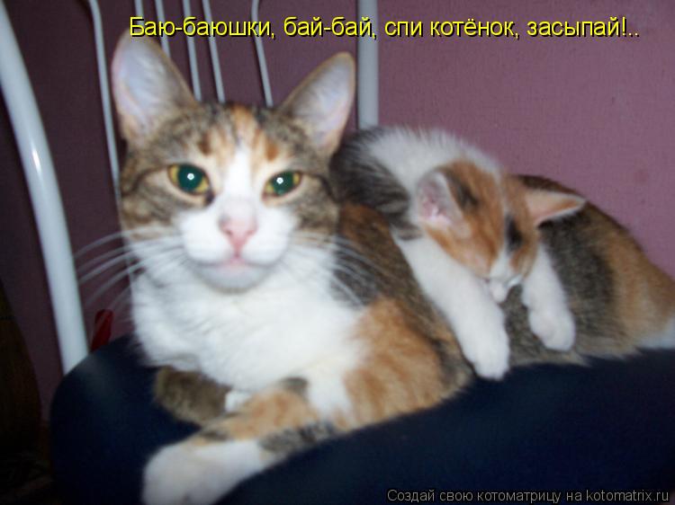 Баю-баюшки, бай-бай, спи котёнок, засыпай!..... Котоматрица: Баю-баюшки, бай-бай, спи котёнок, засыпай!..