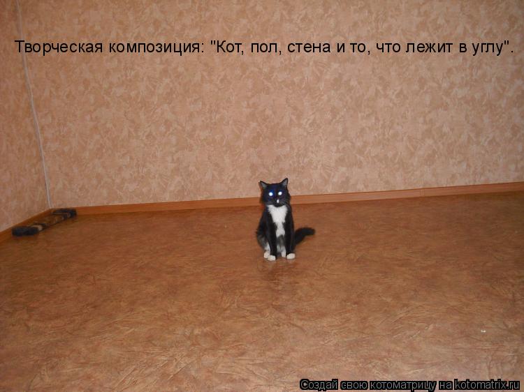 Котоматрица: Творческая композиция: "Кот, пол, стена и то, что лежит в углу".