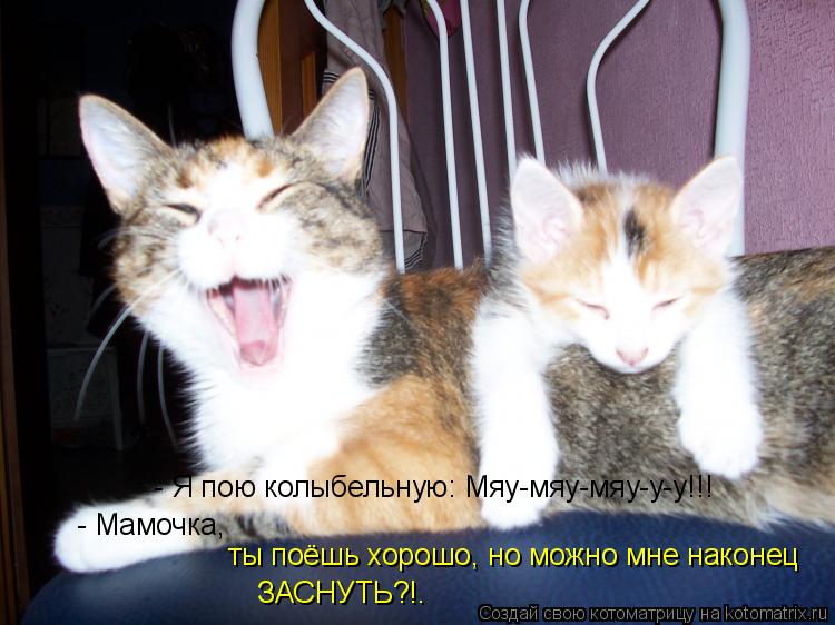 - Я пою колыбельную: Мяу-мяу-мяу-у-у!!! - Мамочка, ты поёшь хорошо, но можно мне наконец ЗАСНУТЬ?!.... Котоматрица: - Я пою колыбельную: Мяу-мяу-мяу-у-у!!! - Мамочка, ты поёшь хорошо, но можно мне наконец ЗАСНУТЬ?!.