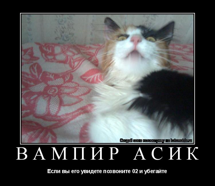 Вампир Асик Если вы его увидете позвоните 02 и убегайте... Котоматрица: Вампир Асик Если вы его увидете позвоните 02 и убегайте