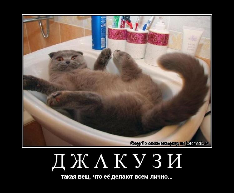 Джакузи такая вещ, что её делают всем лично...... Котоматрица: Джакузи такая вещ, что её делают всем лично...