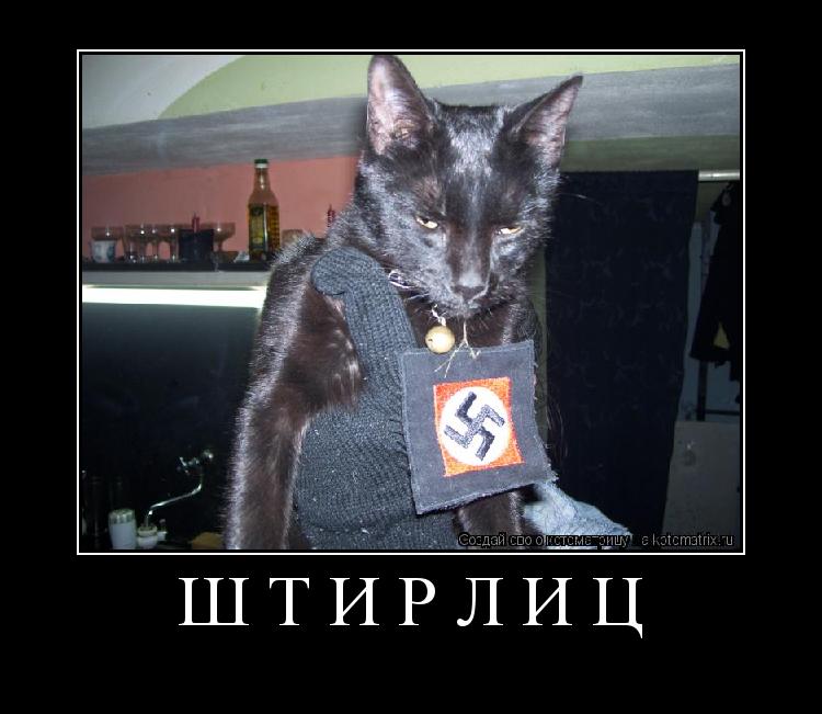 ШТИРЛИЦ ... Котоматрица: ШТИРЛИЦ