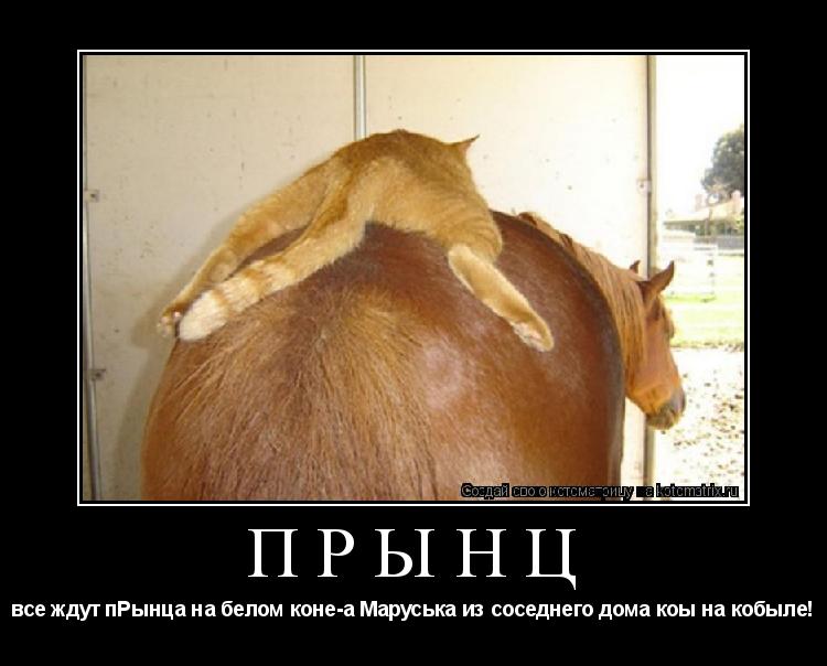 прЫнц все ждут пРынца на белом коне-а Маруська из соседнего дома коы на кобыле!... Котоматрица: прЫнц все ждут пРынца на белом коне-а Маруська из соседнего дома коы на кобыле!