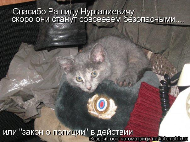 Спасибо Рашиду Нургалиевичу скоро они станут совсеееем безопасными.... или "закон о полиции" в действ... Котоматрица: Спасибо Рашиду Нургалиевичу скоро они станут совсеееем безопасными.... или "закон о полиции" в действии