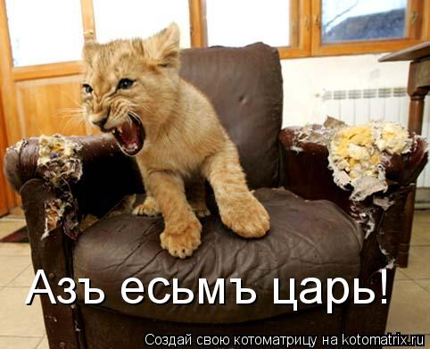 Азъ есьмъ царь!... Котоматрица: Азъ есьмъ царь!