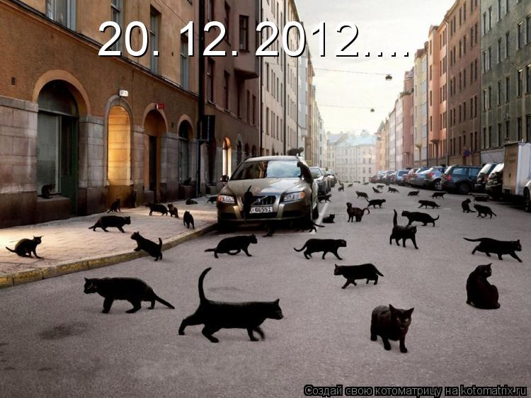 20. 12. 2012....... Котоматрица: 20. 12. 2012....