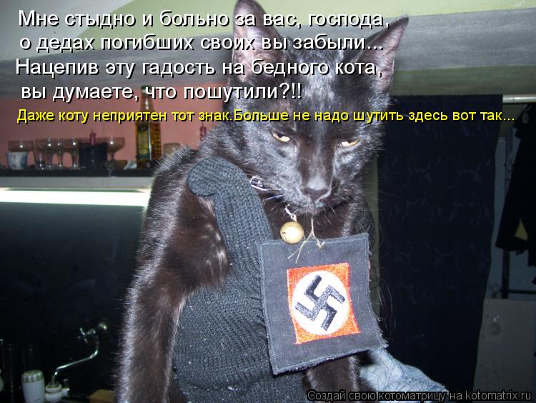 Мне стыдно и больно за вас, господа, о дедах погибших своих вы забыли... Нацепив эту гадость на бедно... Котоматрица: Мне стыдно и больно за вас, господа, о дедах погибших своих вы забыли... Нацепив эту гадость на бедного кота, вы думаете, что пошутили?!! Даже к
