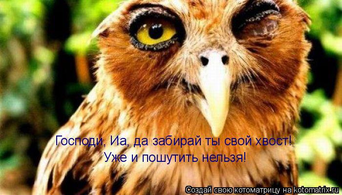 Господи, Иа, да забирай ты свой хвост! Уже и пошутить нельзя!... Котоматрица: Господи, Иа, да забирай ты свой хвост! Уже и пошутить нельзя!