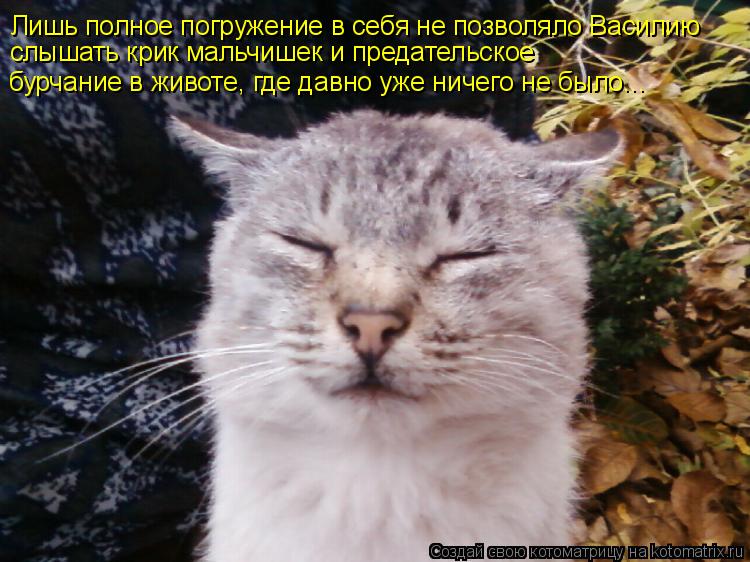 Лишь полное погружение в себя не позволяло Василию слышать крик мальчишек и предательское бурчание в ... Котоматрица: Лишь полное погружение в себя не позволяло Василию слышать крик мальчишек и предательское бурчание в животе, где давно уже ничего не было...