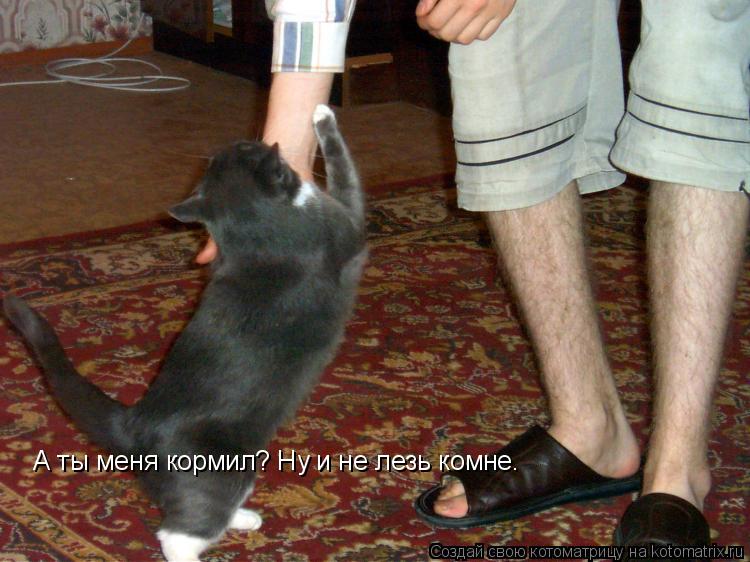 А ты меня кормил? Ну и не лезь комне.... Котоматрица: А ты меня кормил? Ну и не лезь комне.