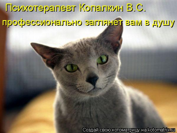 Психотерапевт Копалкин В.С. профессионально заглянет вам в душу... Котоматрица: Психотерапевт Копалкин В.С. профессионально заглянет вам в душу