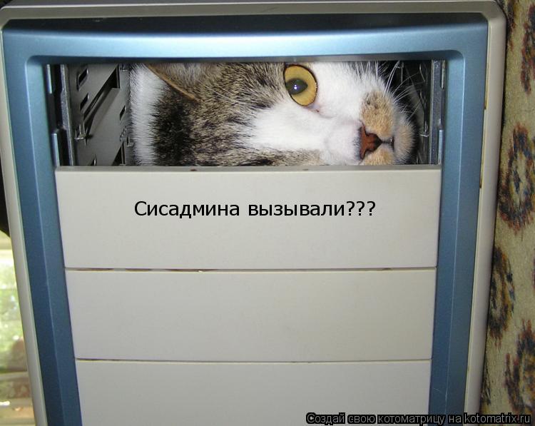 Сисадмина вызывали???... Котоматрица: Сисадмина вызывали???