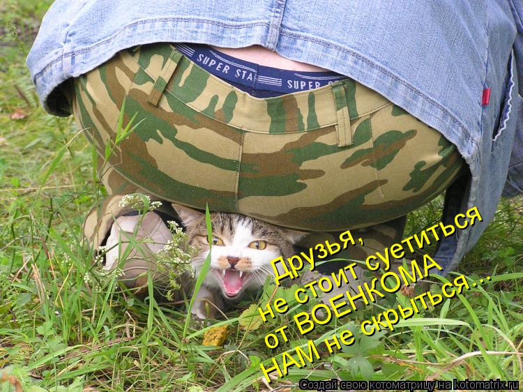 Друзья, не стоит суетиться от ВОЕНКОМА НАМ не скрыться...... Котоматрица: Друзья, не стоит суетиться от ВОЕНКОМА НАМ не скрыться...