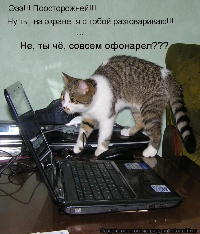 Эээ!!! Поосторожней!!! Ну ты, на экране, я с тобой разговариваю!!! ... Не, ты чё, совсем офонарел???... Котоматрица: Эээ!!! Поосторожней!!! Ну ты, на экране, я с тобой разговариваю!!! ... Не, ты чё, совсем офонарел???