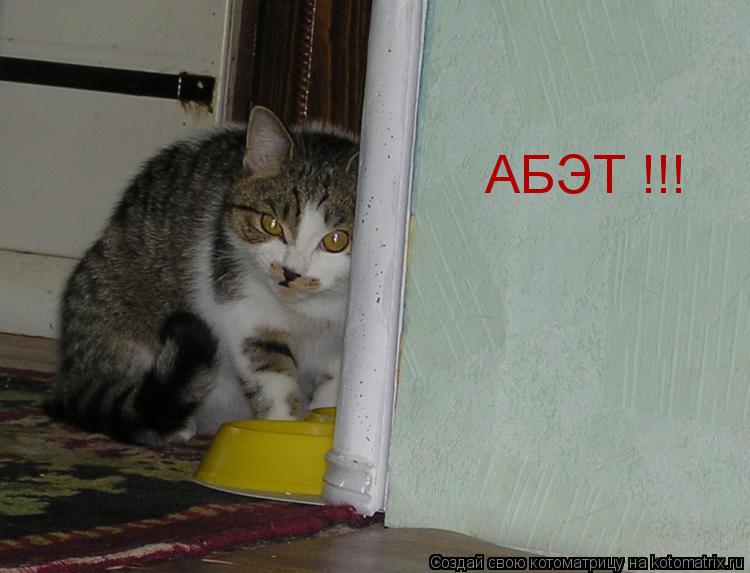 АБЭТ !!!... Котоматрица: АБЭТ !!!