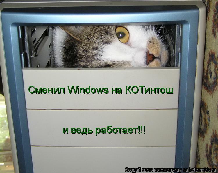 Сменил Windows на КОТинтош и ведь работает!!!... Котоматрица: Сменил Windows на КОТинтош и ведь работает!!!