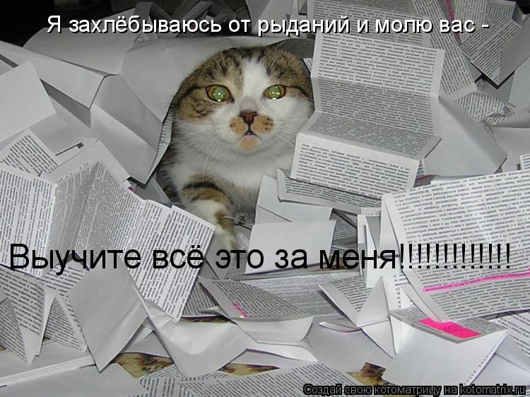 Я захлёбываюсь от рыданий и молю вас - Выучите всё это за меня!!!!!!!!!!!!!... Котоматрица: Я захлёбываюсь от рыданий и молю вас - Выучите всё это за меня!!!!!!!!!!!!!