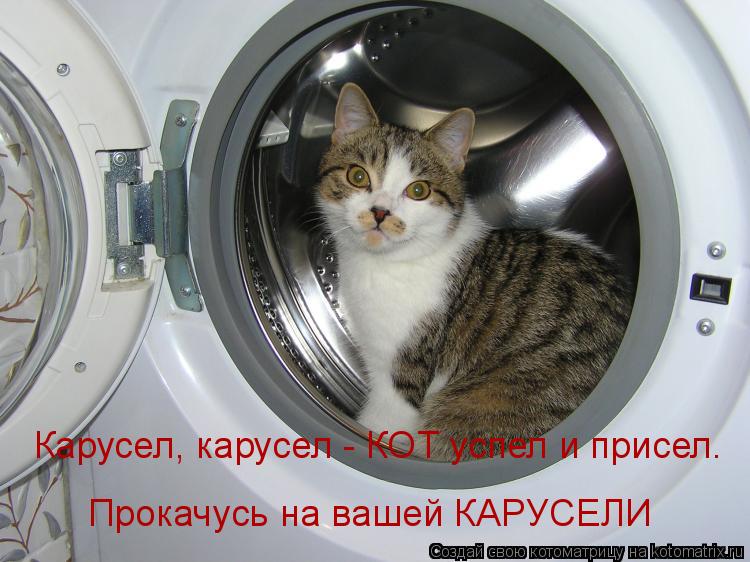 Карусел, карусел - КОТ успел и присел. Прокачусь на вашей КАРУСЕЛИ... Котоматрица: Карусел, карусел - КОТ успел и присел. Прокачусь на вашей КАРУСЕЛИ