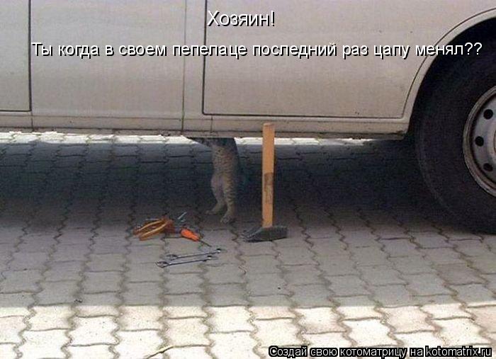 http://kotomatrix.ru/images/lolz/2010/08/16/654498.jpg