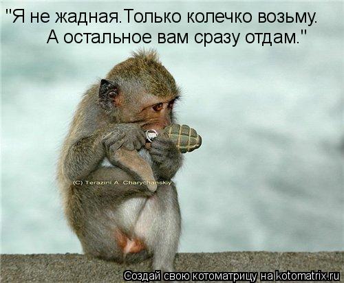 Котоматрица: "Я не жадная.Только колечко возьму. А остальное вам сразу отдам."
