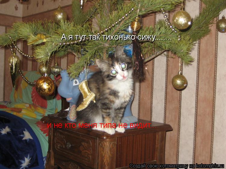 А я тут так тихонько сижу........ и не кто меня типа не видит...... Котоматрица: А я тут так тихонько сижу........ и не кто меня типа не видит...