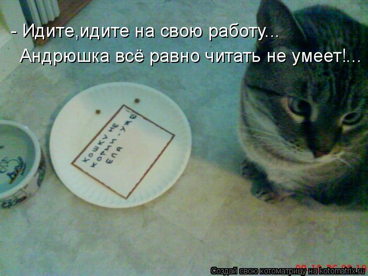 - Идите,идите на свою работу... Андрюшка всё равно читать не умеет!...... Котоматрица: - Идите,идите на свою работу... Андрюшка всё равно читать не умеет!...