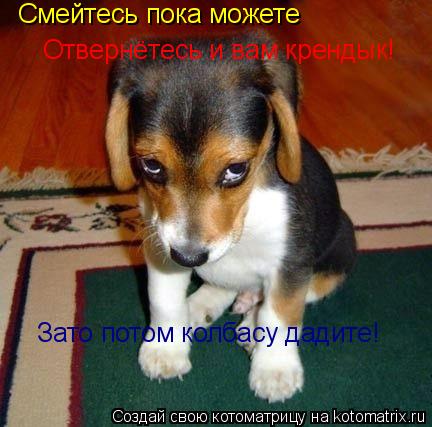 Смейтесь пока можете Отвернётесь и вам крендык! Зато потом колбасу дадите!... Котоматрица: Смейтесь пока можете Отвернётесь и вам крендык! Зато потом колбасу дадите!
