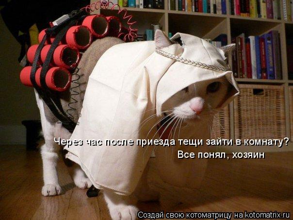 Через час после приезда тещи зайти в комнату? Все понял, хозяин... Котоматрица: Через час после приезда тещи зайти в комнату? Все понял, хозяин