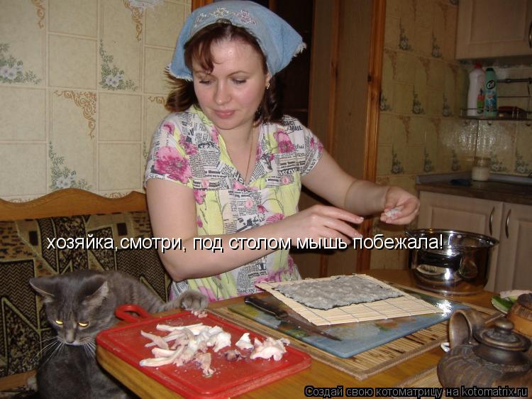 хозяйка,смотри, под столом мышь побежала!... Котоматрица: хозяйка,смотри, под столом мышь побежала!
