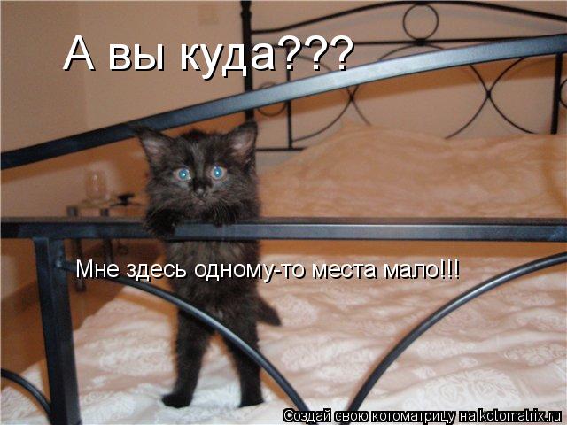А вы куда??? Мне здесь одному-то места мало!!!... Котоматрица: А вы куда??? Мне здесь одному-то места мало!!!
