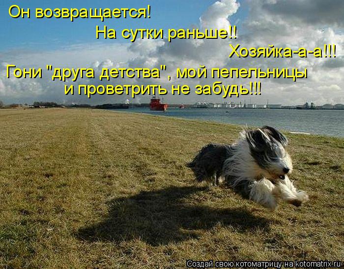 Он возвращается! На сутки раньше!! Хозяйка-а-а!!! Гони "друга детства", мой пепельницы и провет... Котоматрица: Он возвращается! На сутки раньше!! Хозяйка-а-а!!! Гони "друга детства", мой пепельницы и проветрить не забудь!!!