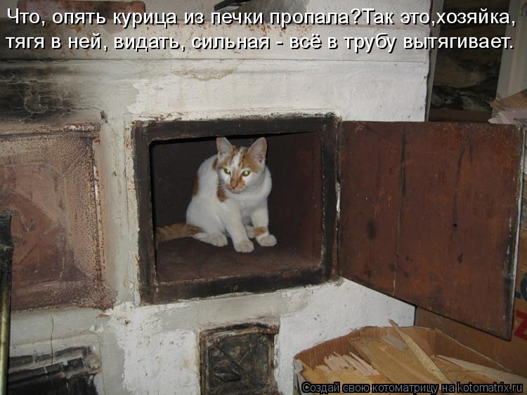 Что, опять курица из печки пропала?Так это,хозяйка, тягя в ней, видать, сильная - всё в трубу вытягив... Котоматрица: Что, опять курица из печки пропала?Так это,хозяйка, тягя в ней, видать, сильная - всё в трубу вытягивает.