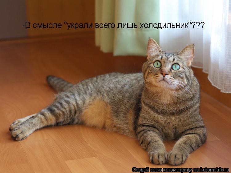 -В смысле "украли всего лишь холодильник"???... Котоматрица: -В смысле "украли всего лишь холодильник"???