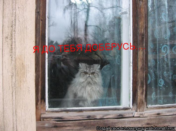 Я ДО ТЕБЯ ДОБЕРУСЬ....... Котоматрица: Я ДО ТЕБЯ ДОБЕРУСЬ....