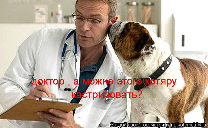 доктор , а можно этого котяру кастрировать? доктор , а можно этого котяру... Котоматрица: доктор , а можно этого котяру кастрировать? доктор , а можно этого котяру