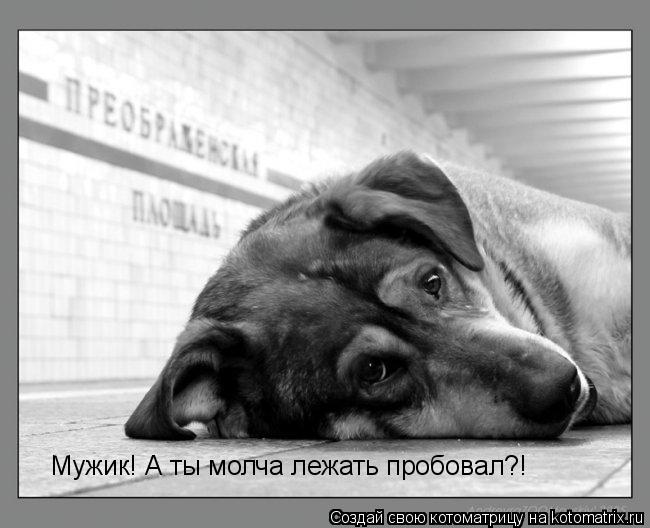 Котоматрица: Мужик! А ты молча лежать пробовал?!