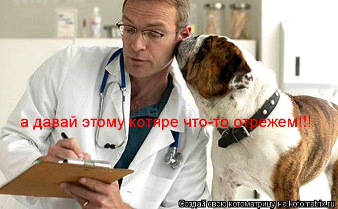 а давай этому котяре что-то отрежем!!!... Котоматрица: а давай этому котяре что-то отрежем!!!
