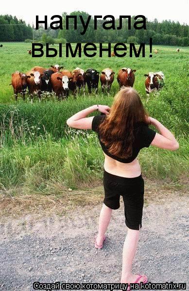 напугала выменем!... Котоматрица: напугала выменем!